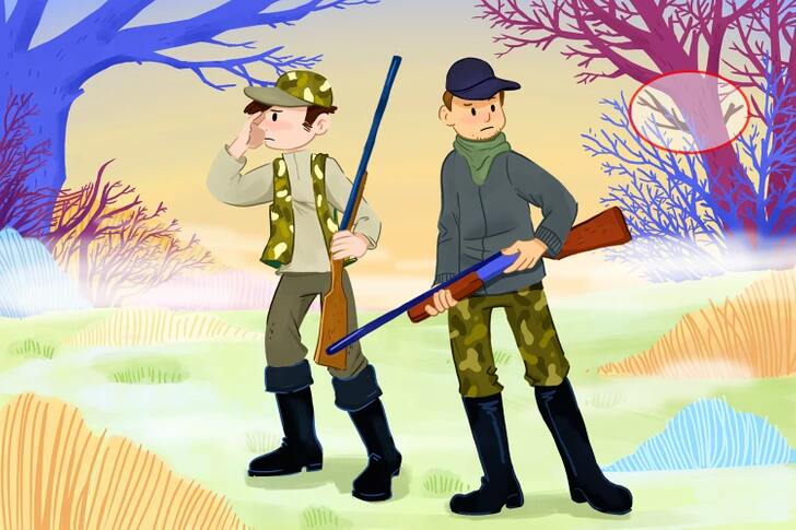 the deer is hidden here